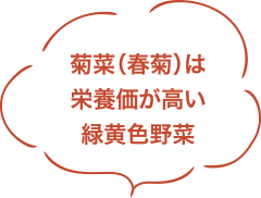 菊菜（春菊）は栄養価が高い緑黄色野菜