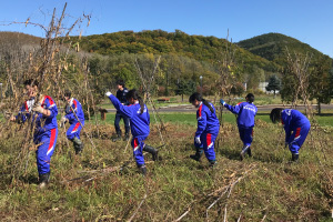 写真:白花豆の収穫体験