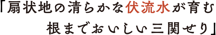 「扇状地の清らかな伏流水が育む 根までおいしい三関せり」