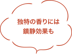 独特の香りには鎮静効果も