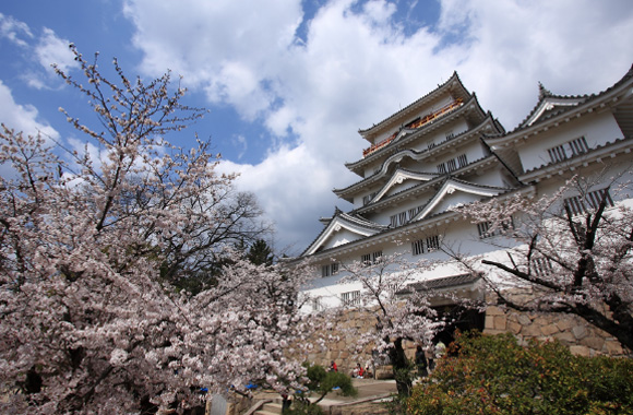 写真:福山城