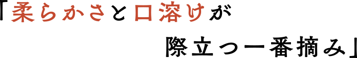 「柔らかさと口溶けが際立つ一番摘み」