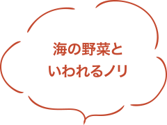 海の野菜といわれるノリ