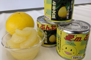写真:文旦缶詰