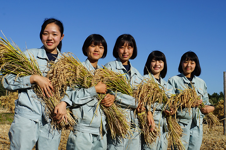 画像：どんなことを学ぶ？農業高校を知ろう