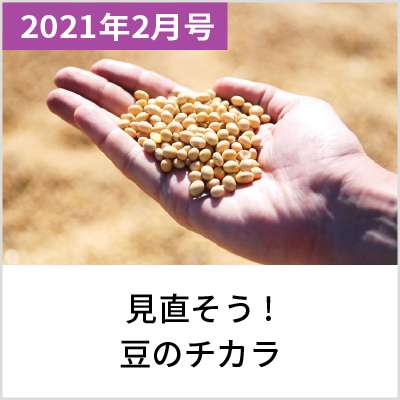 2021年2月号 見直そう！豆のチカラ