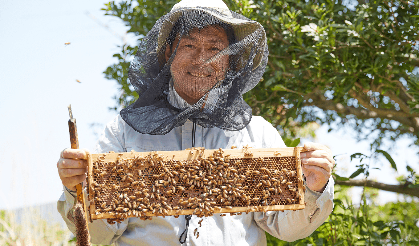 都市養蜂研究から誕生した千葉大学産ハチミツ