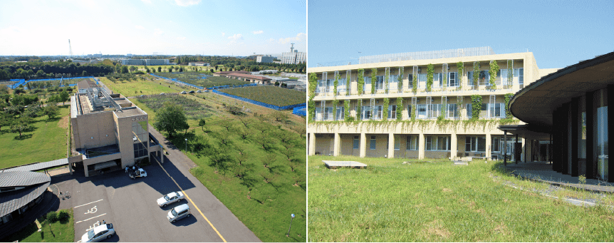 画像:東海大学 熊本キャンパス