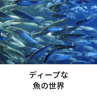 2020年8月号 ディープな魚の世界