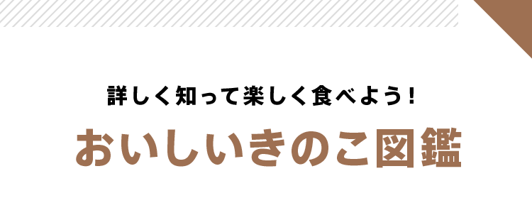 詳しく知って楽しく食べよう！おいしいきのこ図鑑