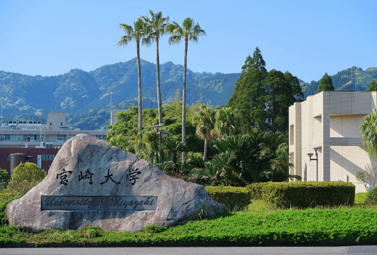 画像:大学外観