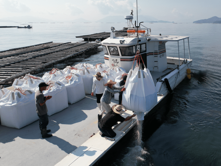 環境に配慮して育てられた広島県の「牡蠣」：農林水産省