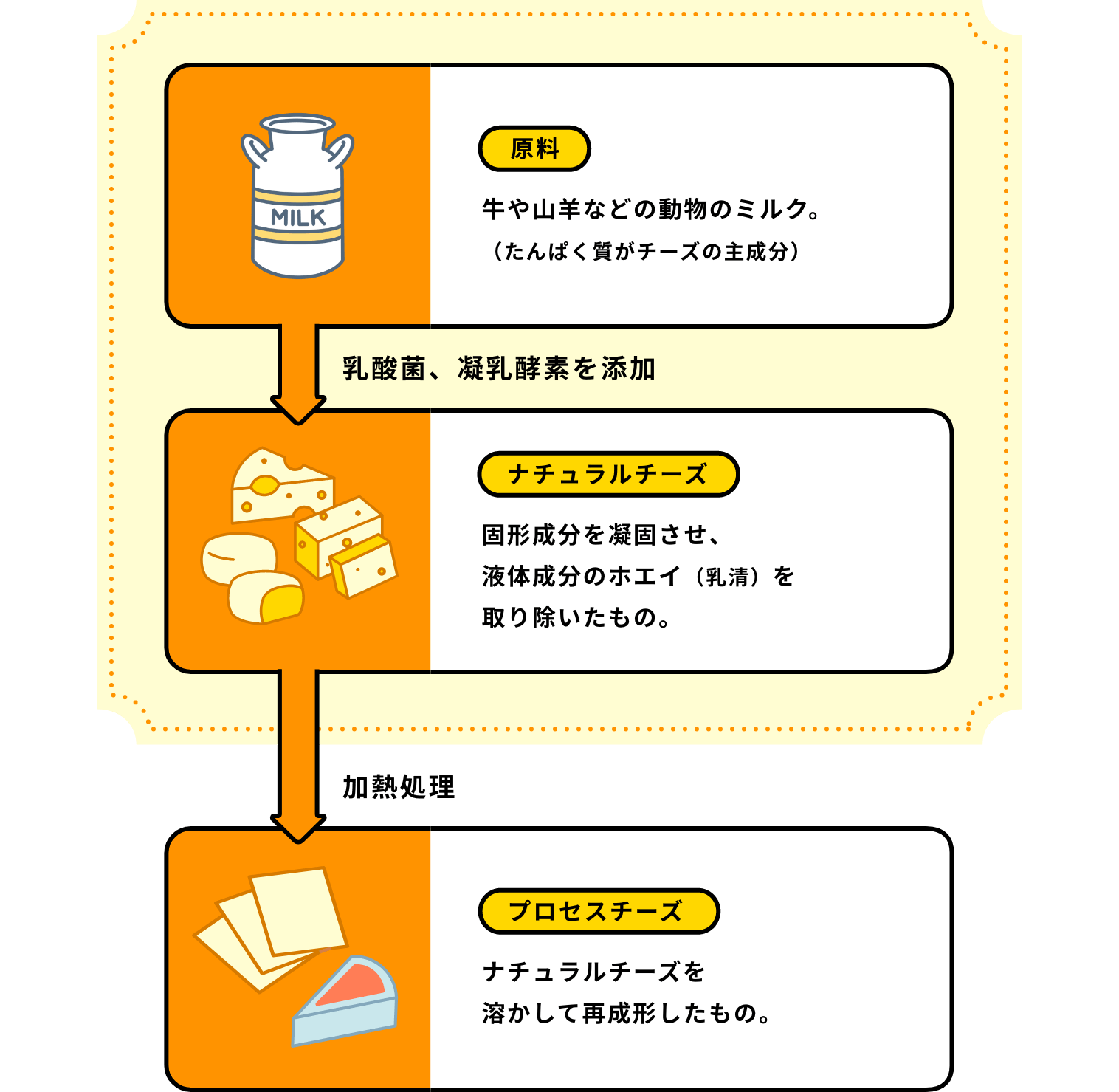 原料:牛や山羊などの動物のミルク。(たんぱく質がチーズの主成分)を乳酸菌、凝乳酵素を添加→ナチュラルチーズ:固形成分を凝固させ、液体成分のホエイ(乳清)を取り除いたもの。を加熱処理→プロセスチーズ:ナチュラルチーズを溶かして再成形したもの。