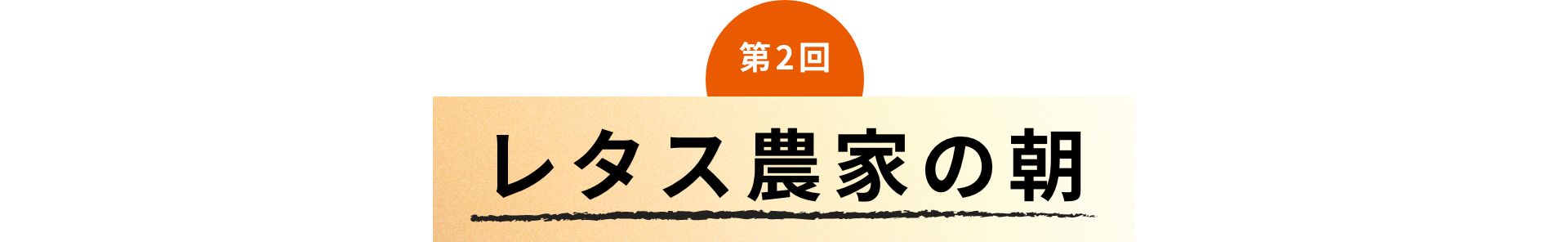 第2回 レタス農家の朝