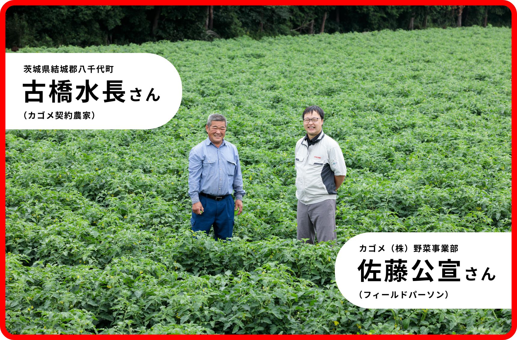 茨城県結城郡八千代町 古橋水長さん(カゴメ契約農家)、カゴメ(株)野菜事業部 佐藤公宣さん(フィールドパーソン)