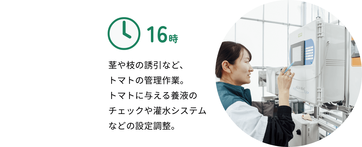 16時:茎や枝の誘引など、トマトの管理作業。トマトに与える養液のチェックや灌水システムなどの設定調整。