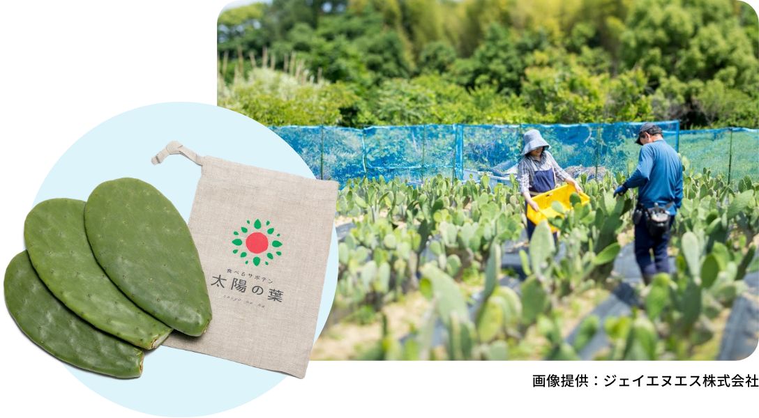 画像提供:ジェイエヌエス株式会社