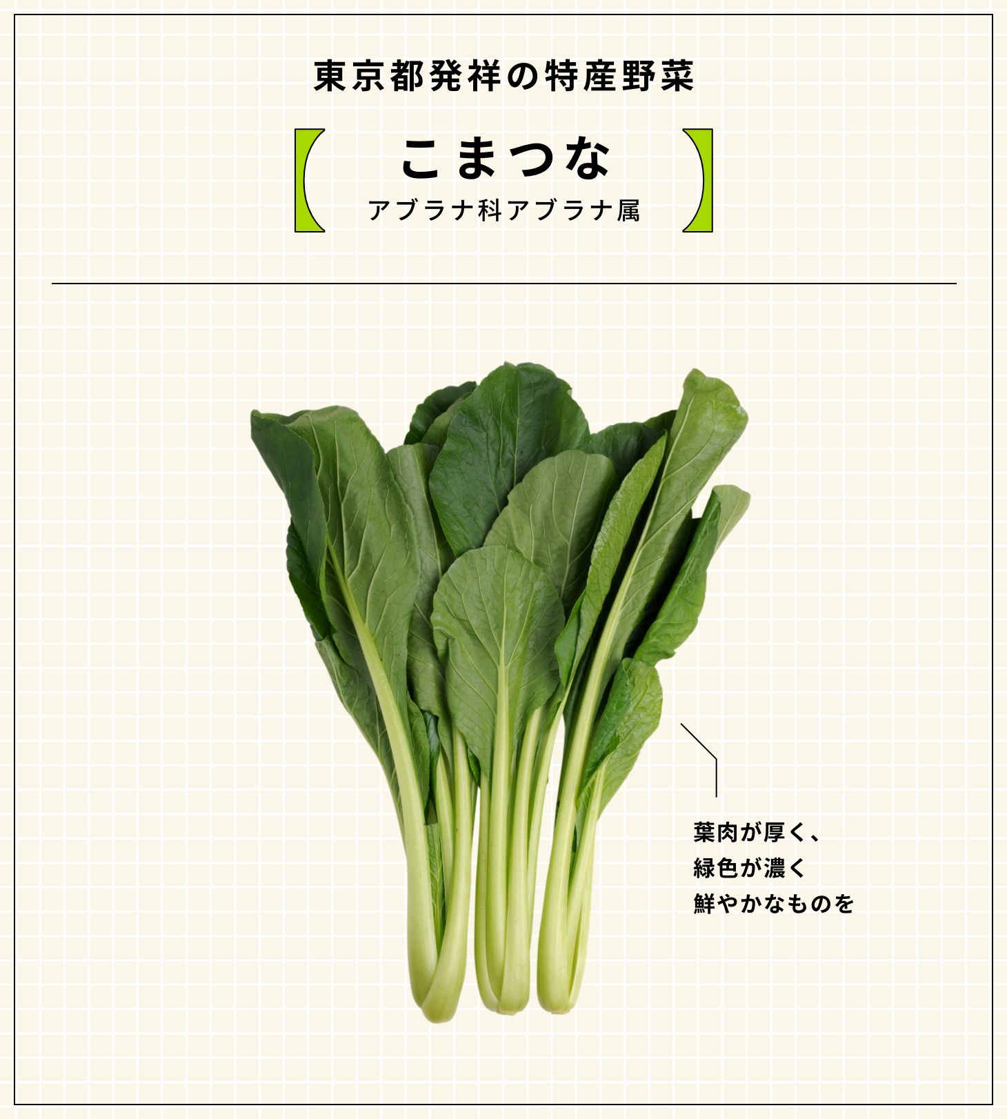 東京都発祥の特産野菜 こまつな