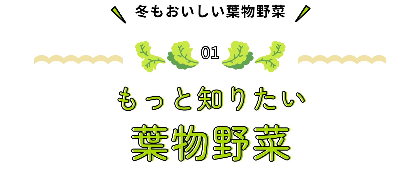 冬もおいしい葉物野菜 もっと知りたい葉物野菜