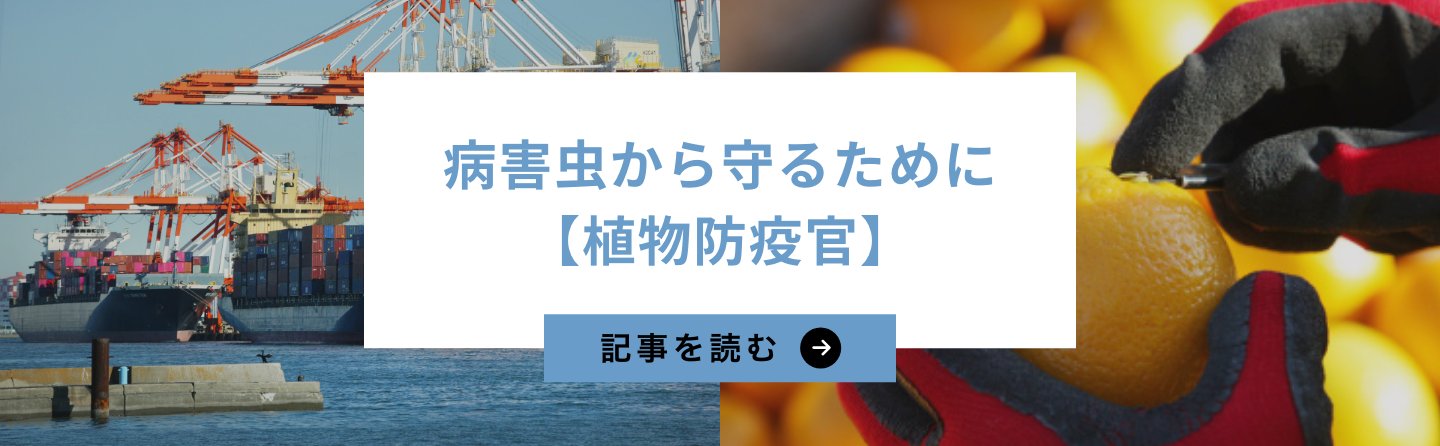 病害虫から守るために【植物防疫官】