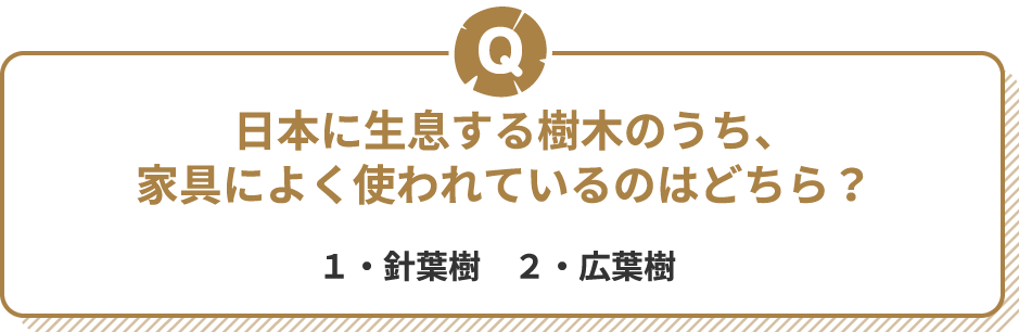 Q 日本に生息する樹木のうち、家具によく使われているのはどちら? 1・針葉樹 2・広葉樹