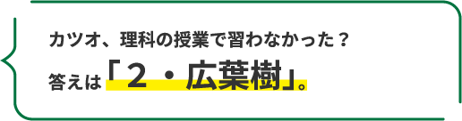 カツオ、理科の授業で習わなかった? 答えは「2・広葉樹」。