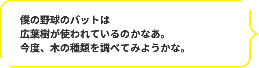僕の野球のバットは
広葉樹が使われているのかなあ。今度、木の種類を調べてみようかな。