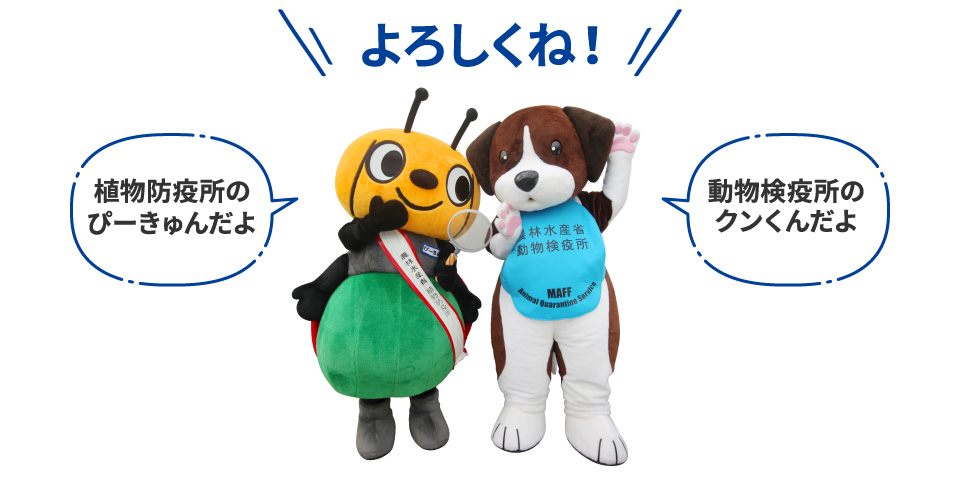 よろしくね! 植物防疫所のぴーきゅんだよ 動物検疫所のクンくんだよ
