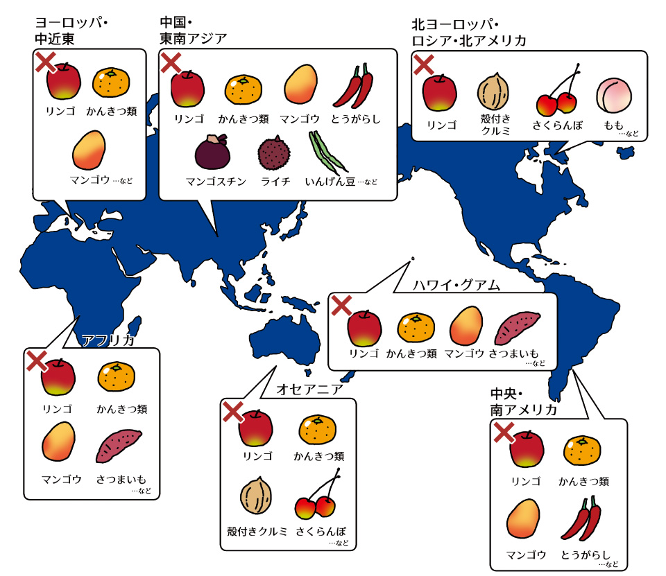 果物・野菜等