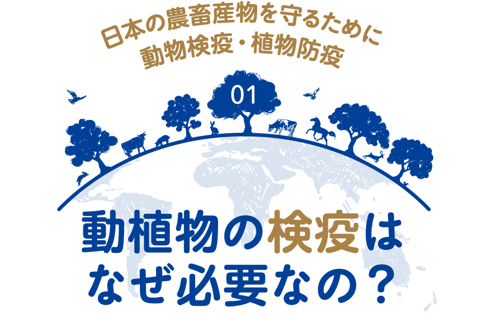 日本の農畜産物を守るために動物検疫・植物防疫 01 動植物の検疫はなぜ必要なの?