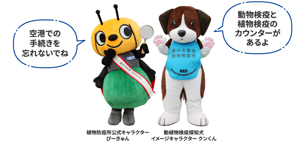 空港での手続きを忘れないでね(植物防疫所公式キャラクター ぴーきゅん) 動物検疫と植物検疫のカウンターがあるよ(動植物検疫探知犬イメージキャラクター クンくん)