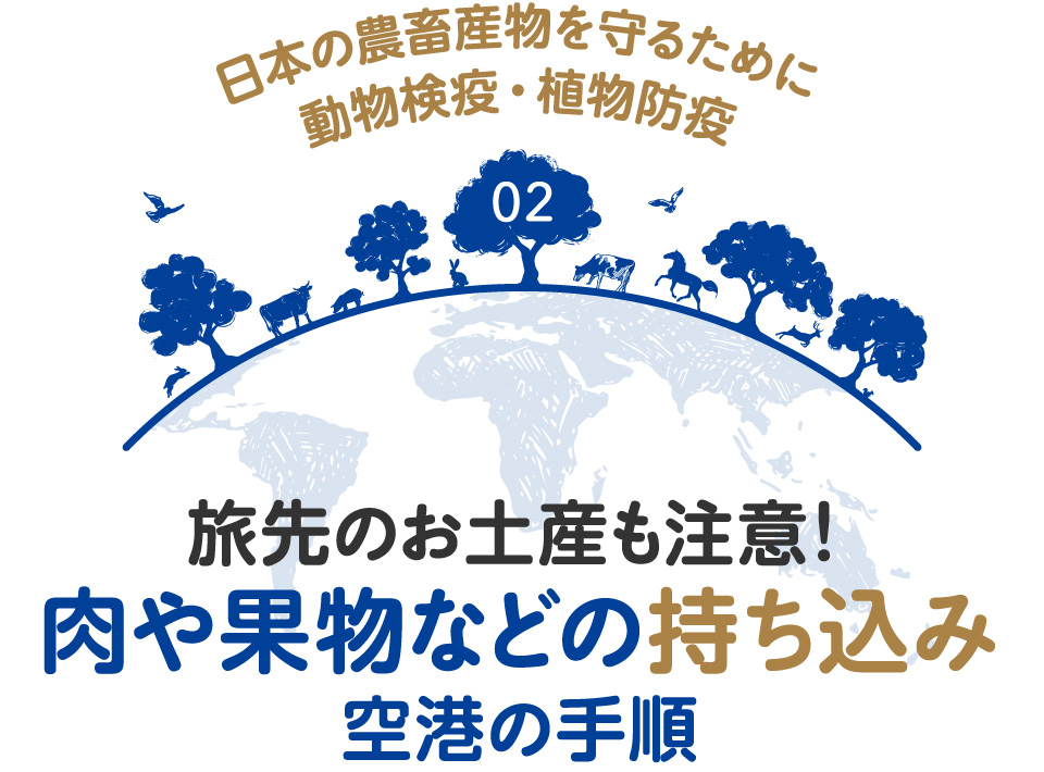 日本の農畜産物を守るために動物検疫・植物防疫 02 旅先のお土産も注意!肉や果物などの持ち込み 空港の手順