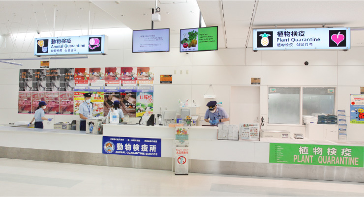 動物検疫所、植物防疫所