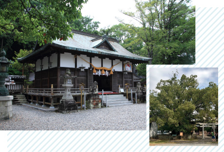鬪雞神社・藤巌神社