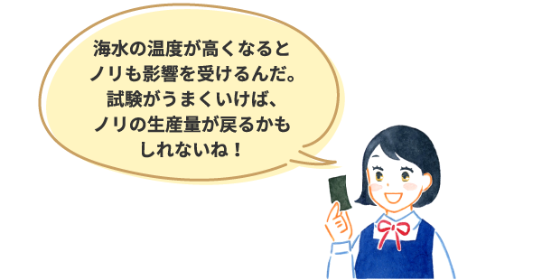 海水の温度が高くなるとノリも影響を受けるんだ。試験がうまくいけば、ノリの生産量が戻るかもしれないね!
