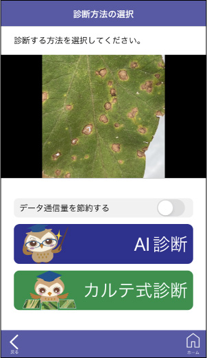 アプリ画面