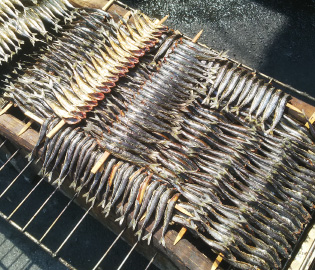 鯖子(サバの小魚)のあぶり