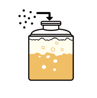 6）発酵