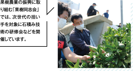果樹農業の振興に取り組む「果樹同志会」では、次世代の担い手を対象に石積み技術の研修会などを開催しています。