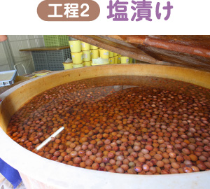 工程2 塩漬け