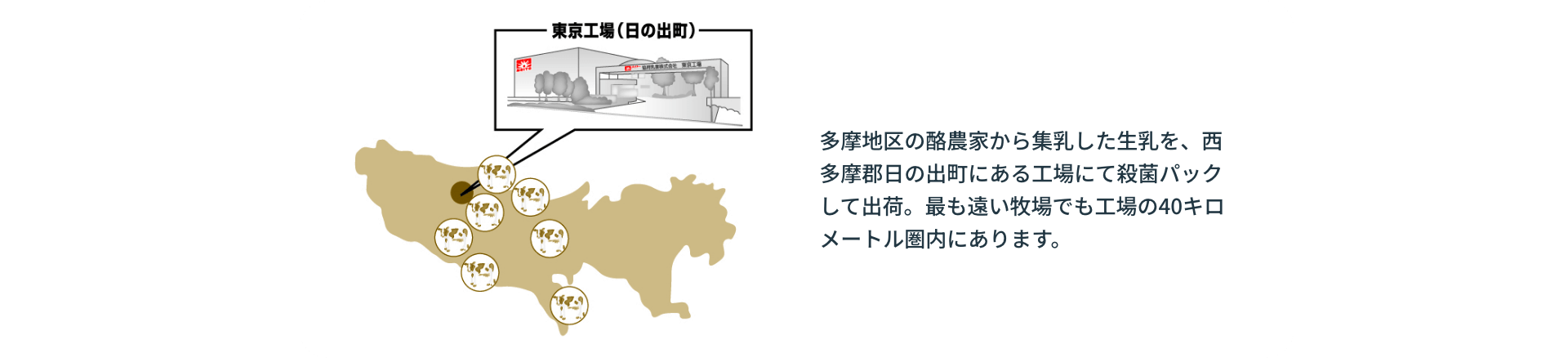 多摩地区の酪農家から集乳した生乳を、西多摩郡日の出町にある工場にて殺菌パックして出荷。最も遠い牧場でも工場の40キロメートル圏内にあります。