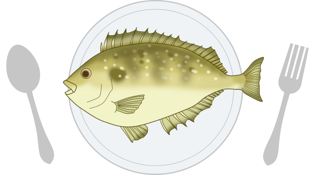 珍魚イメージ