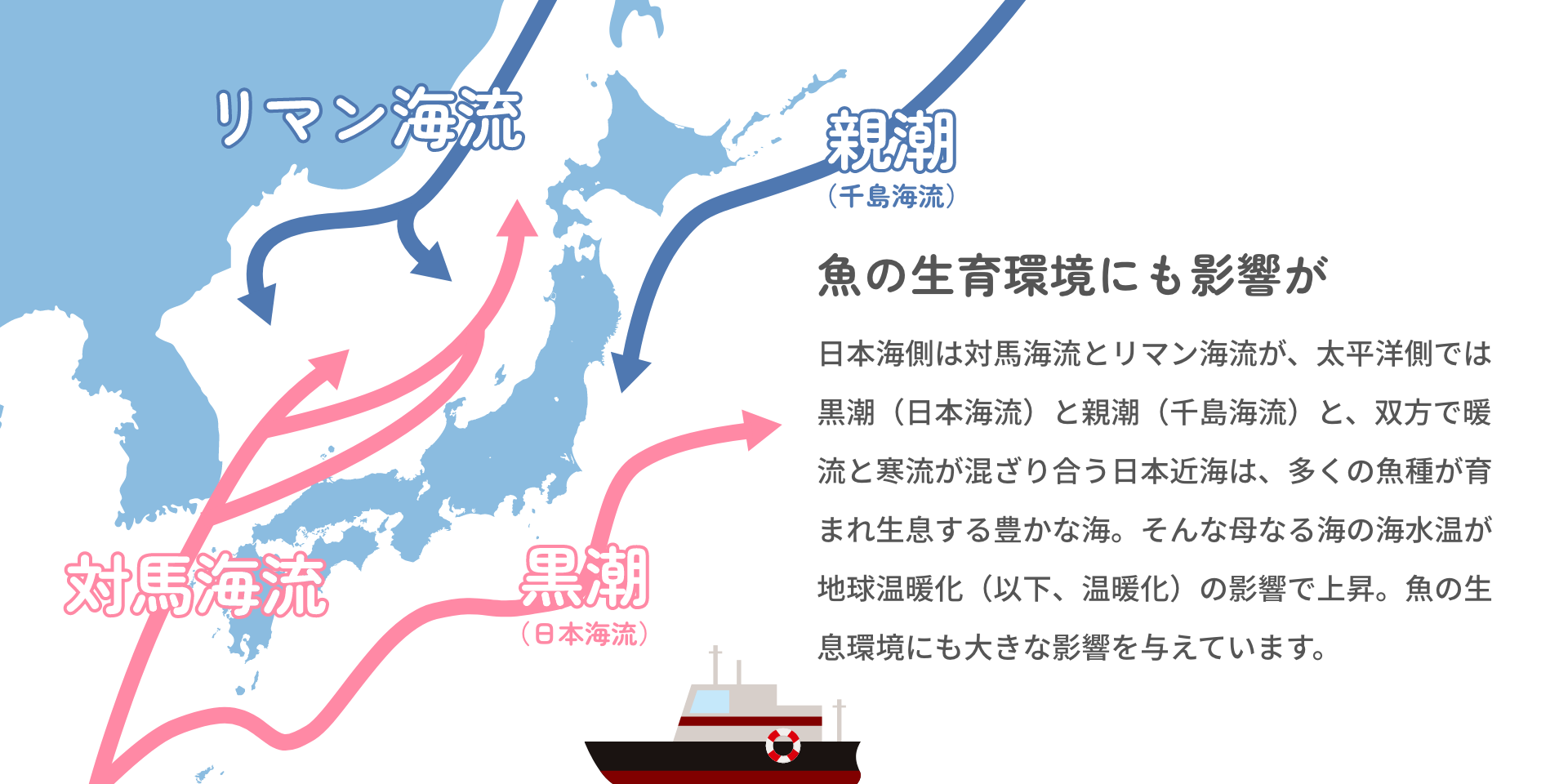 魚の生育環境にも影響が 日本海側は対馬海流とリマン海流が、太平洋側では黒潮(日本海流)と親潮(千島海流)と、双方で暖流と寒流が混ざり合う日本近海は、多くの魚種が育まれ生息する豊かな海。そんな母なる海の海水温が地球温暖化(以下、温暖化)の影響で上昇。魚の生息環境にも大きな影響を与えています。