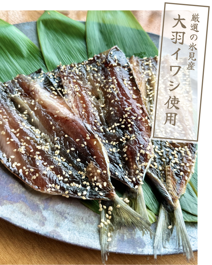 厳選の氷見産 大羽イワシ使用