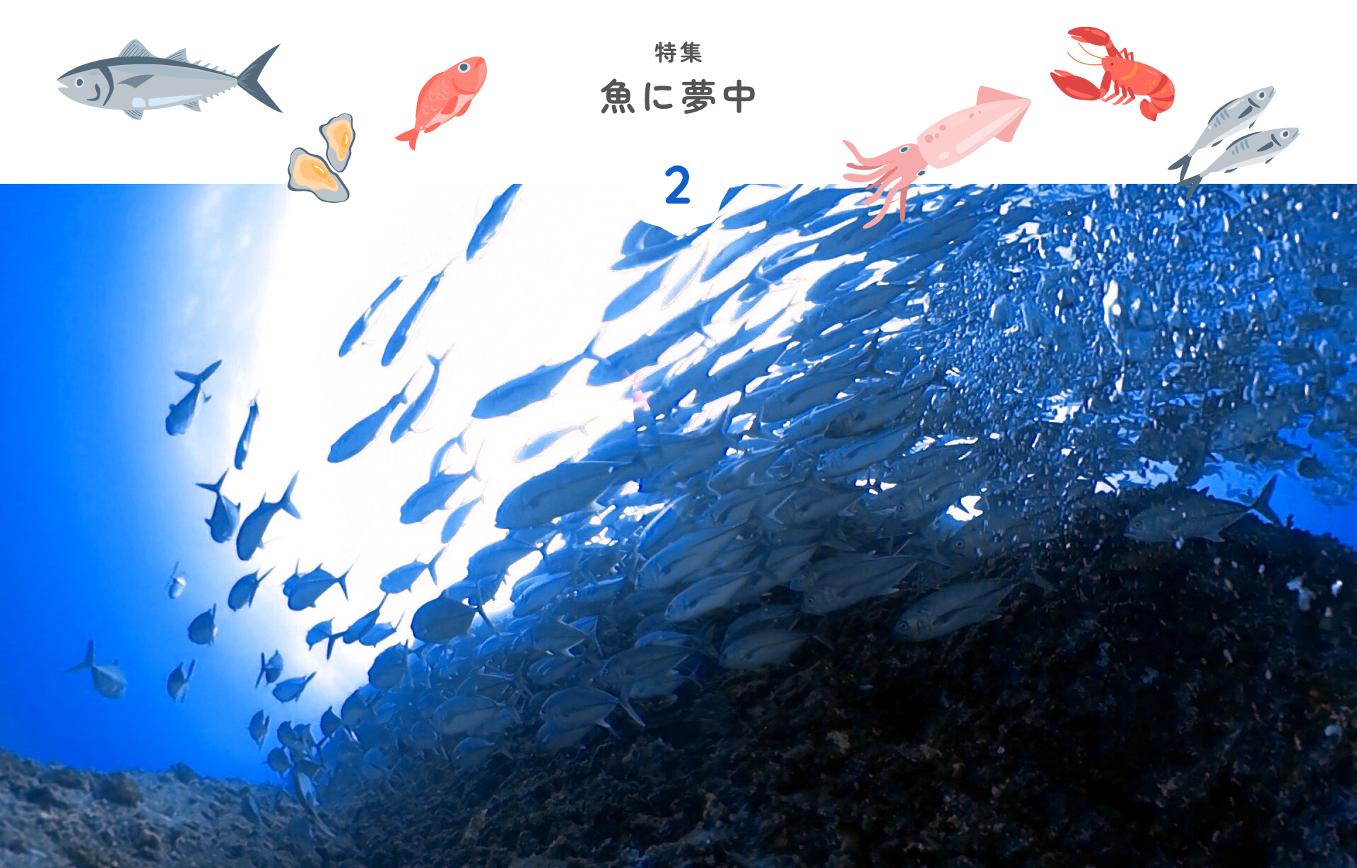 特集 魚に夢中