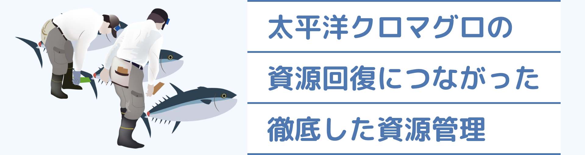 太平洋クロマグロの資源回復につながった徹底した資源管理