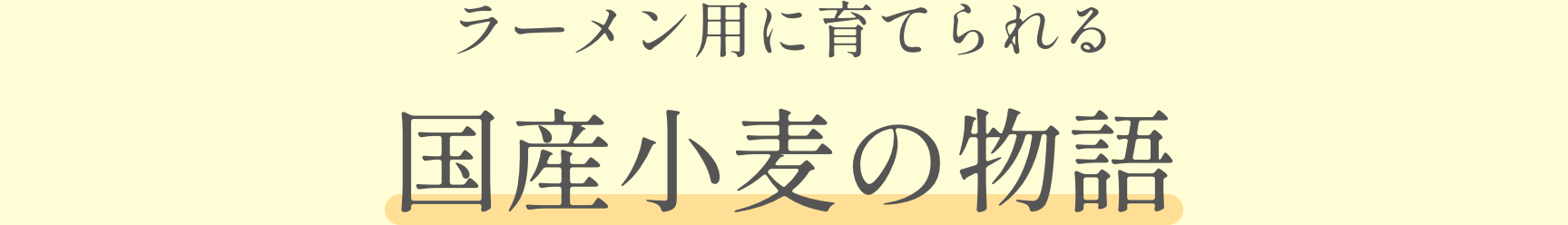 ラーメン用に育てられる国産小麦の物語
