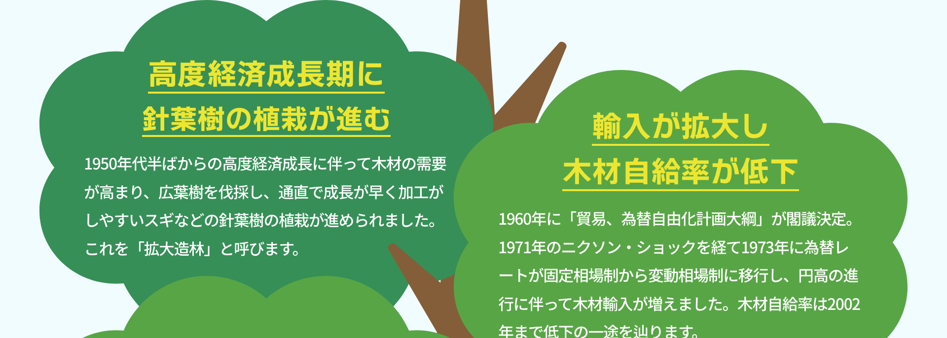 日本は森林大国です：農林水産省