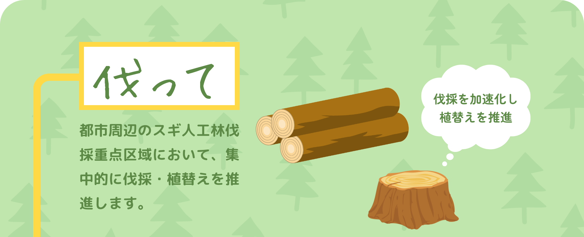 伐って 都市周辺のスギ人工林伐採重点区域において、集中的に伐採・植替えを推進します。 伐採を加速化し植替えを推進