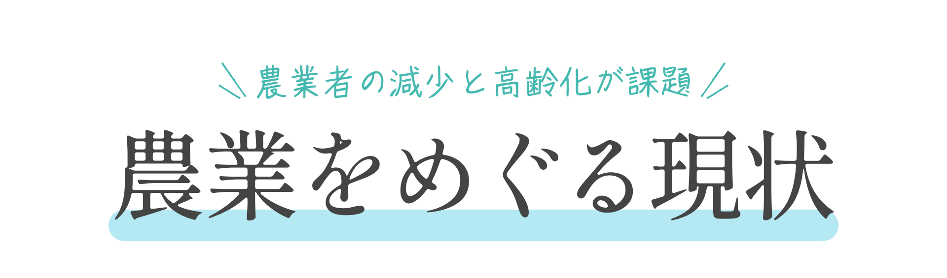 農業者の減少と高齢化が課題 農業をめぐる現状